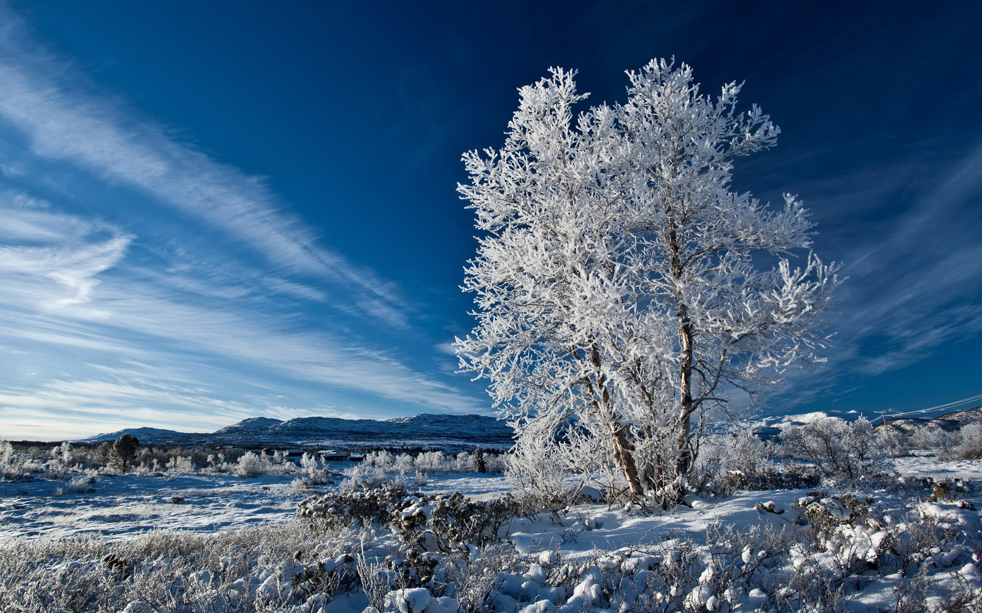 beautiful blue winter sky Image Abyss