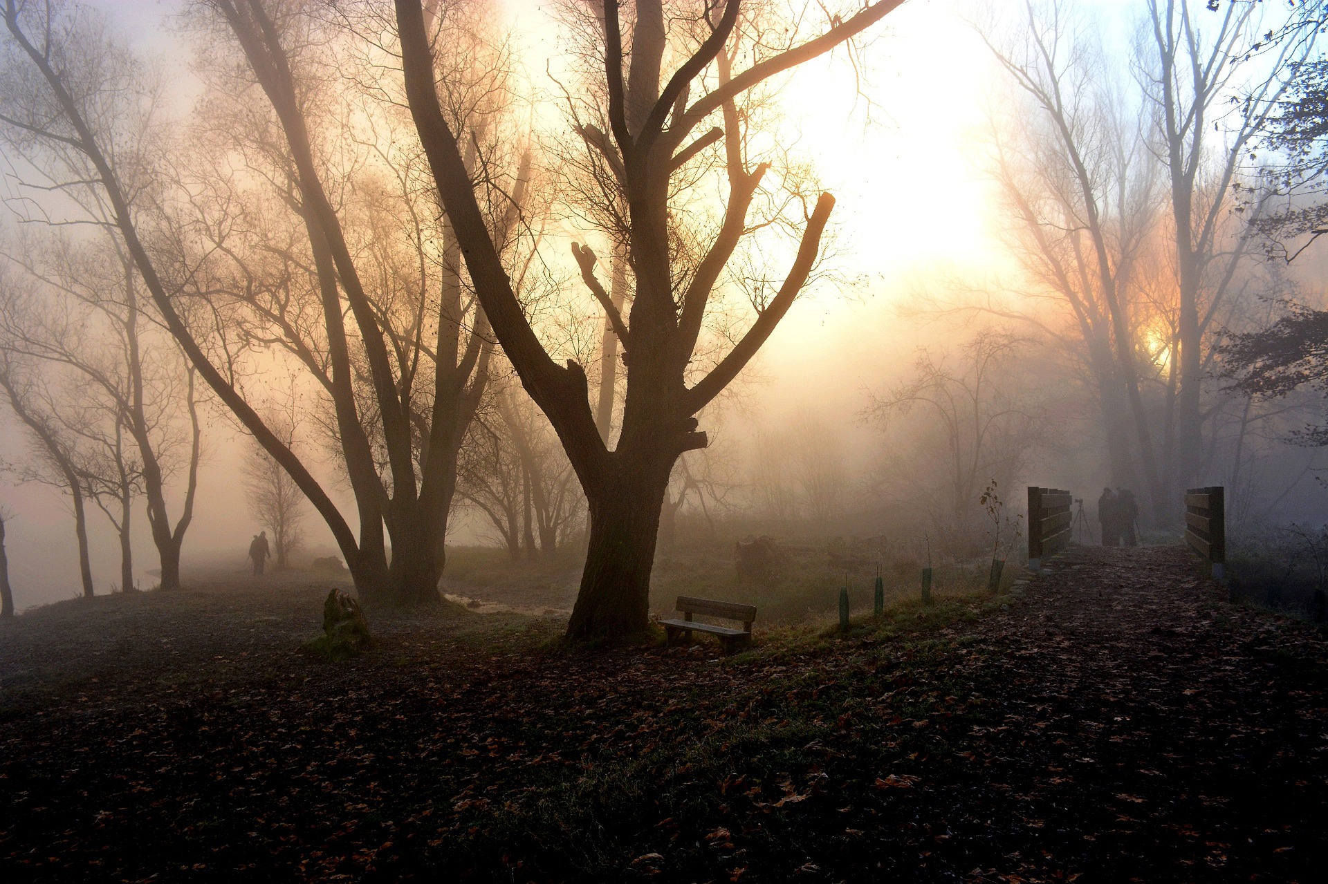 Sunrise in a Foggy Park by Mario Fumagalli Image Abyss