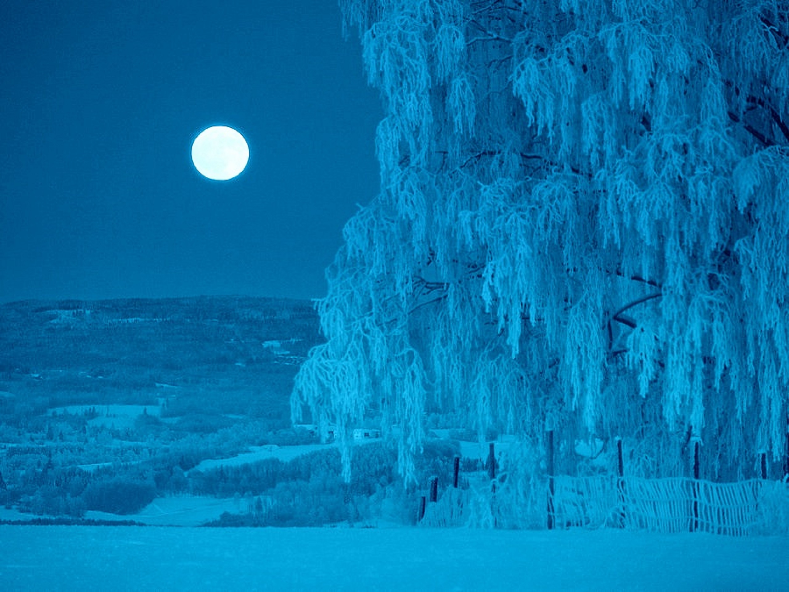 Winter Full Moon Image Abyss