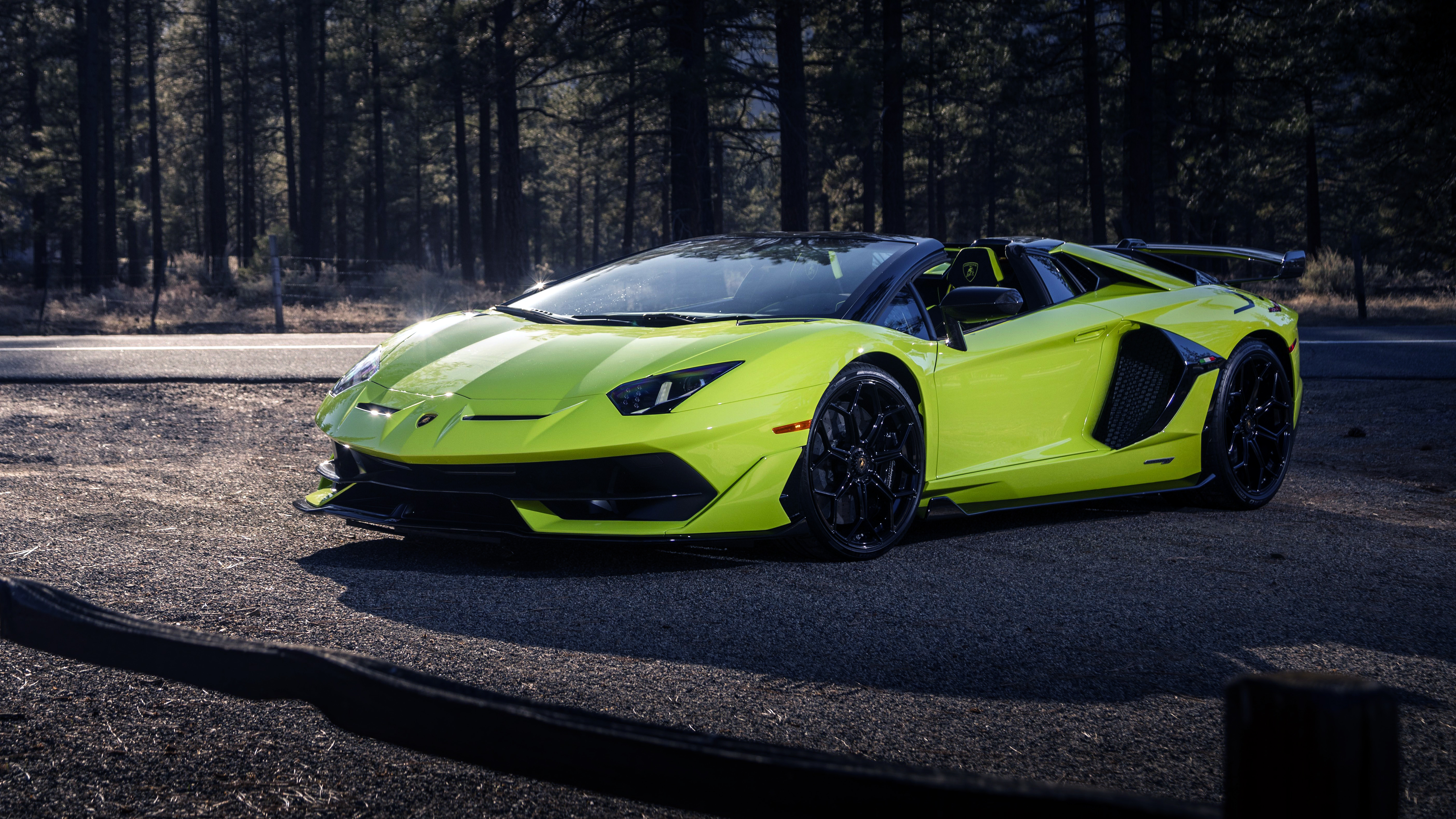 Green Aventador SVJ in the forest Image Abyss