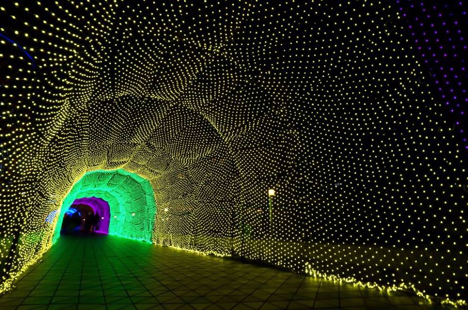 Tunnel of Lights, Japan Image Abyss