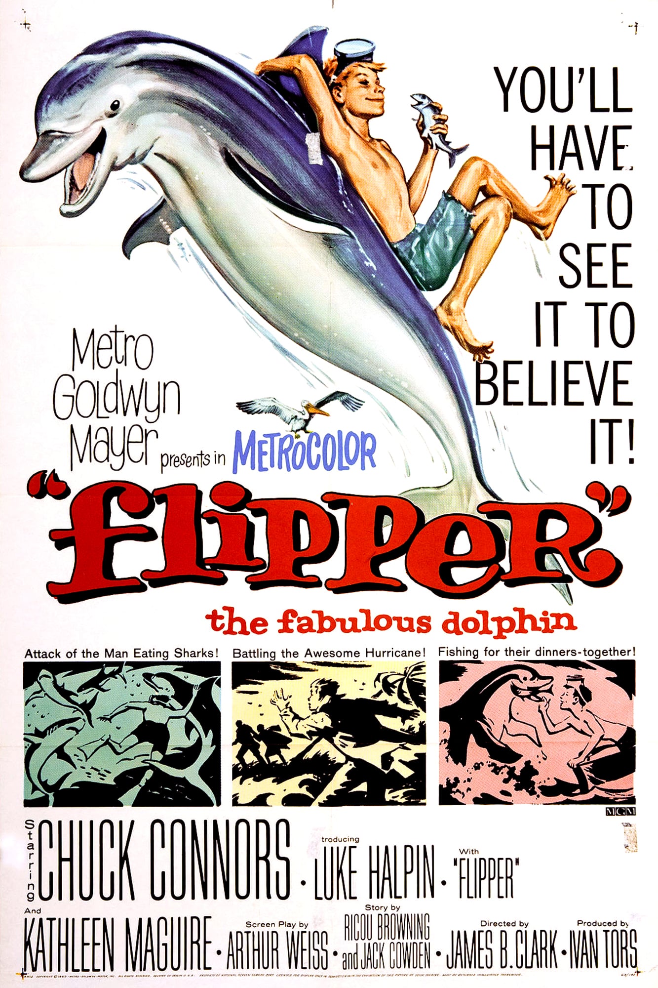 Flipper (1996) Picture Image Abyss