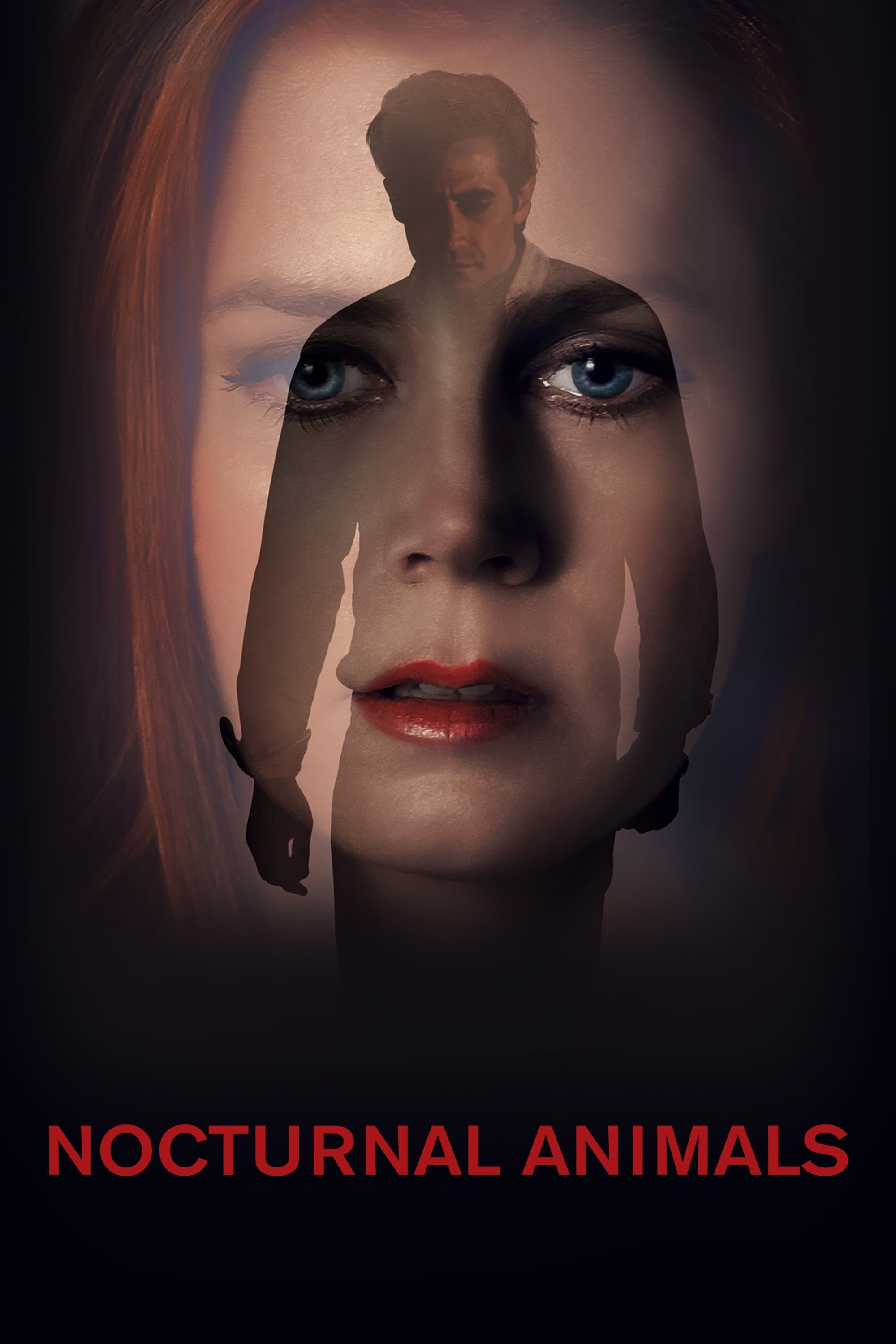 Nocturnal Animals Movie Poster ID 357069 Image Abyss