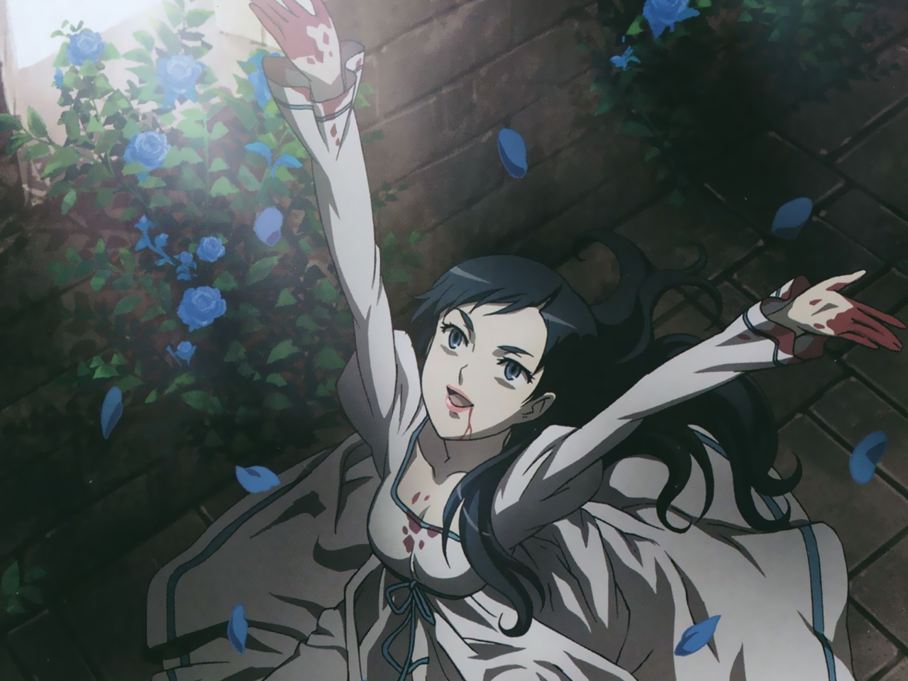 Blood+ Image ID 358925 Image Abyss