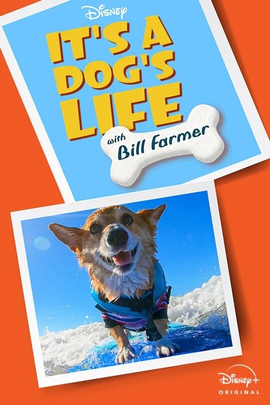 It's A Dog's Life TV Show Poster ID 360001 Image Abyss