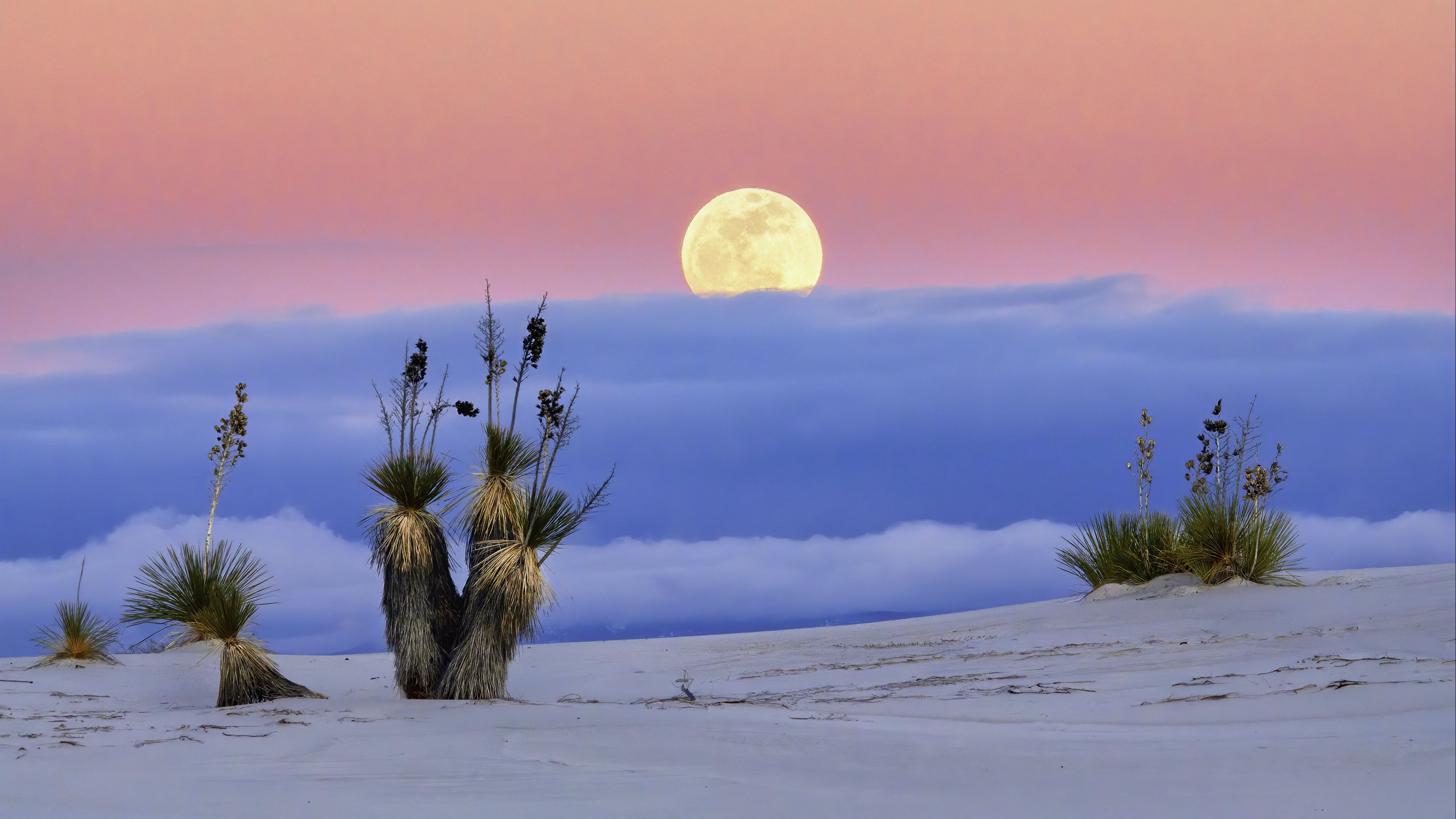 White Sands National Park, New Mexico Image Abyss
