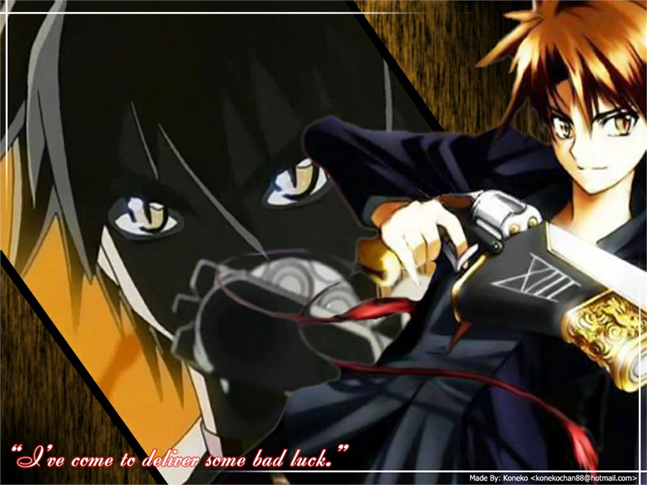 Anime Black Cat Picture Image Abyss