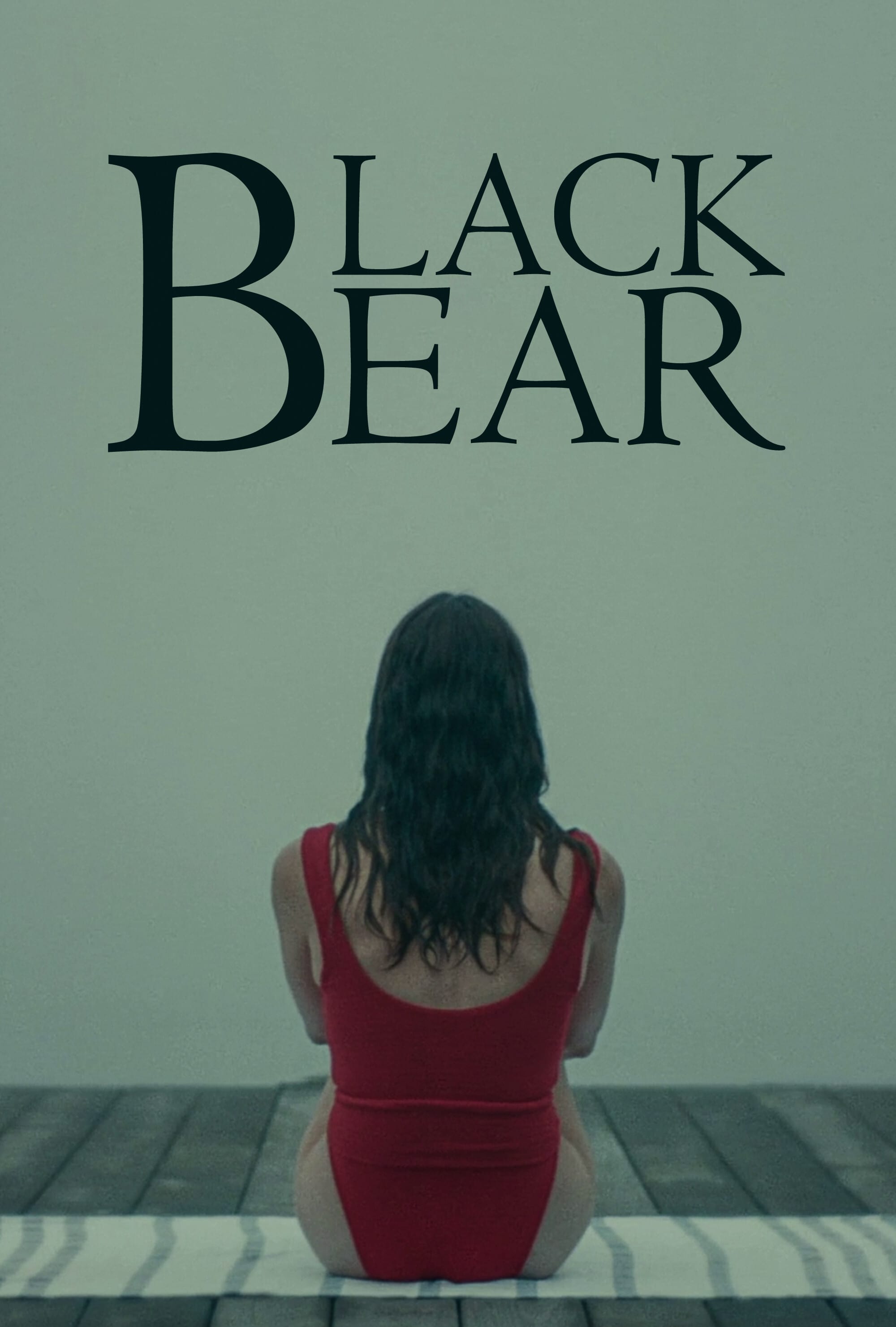 Black Bear Picture Image Abyss