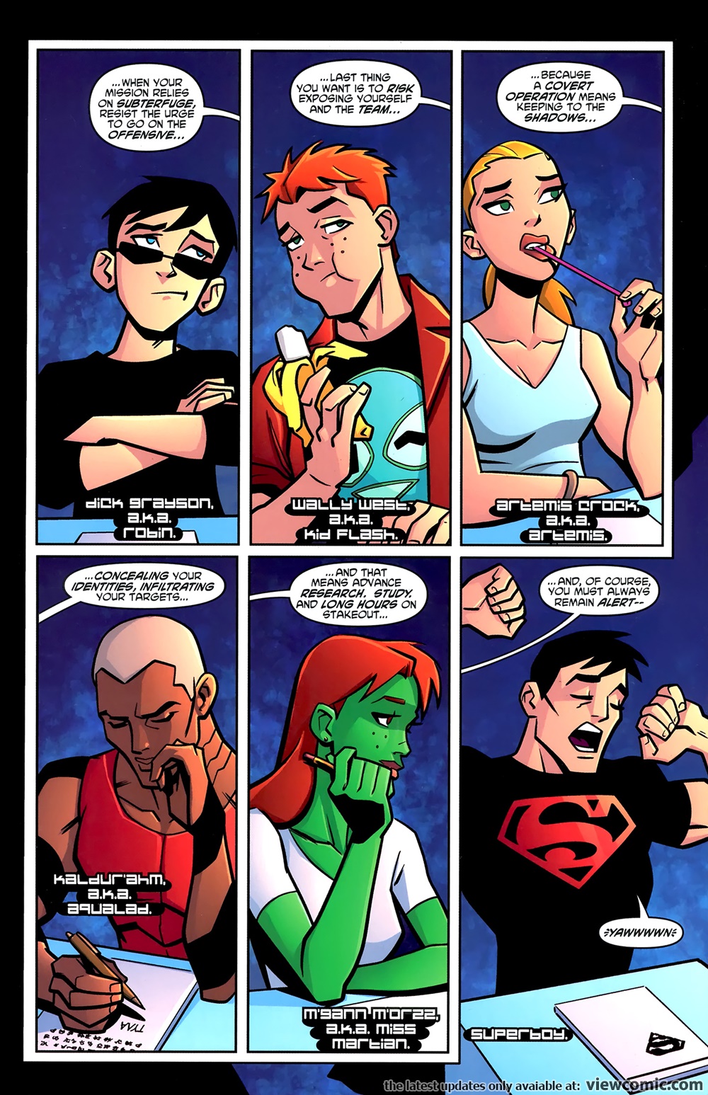 Young Justice Picture Image Abyss