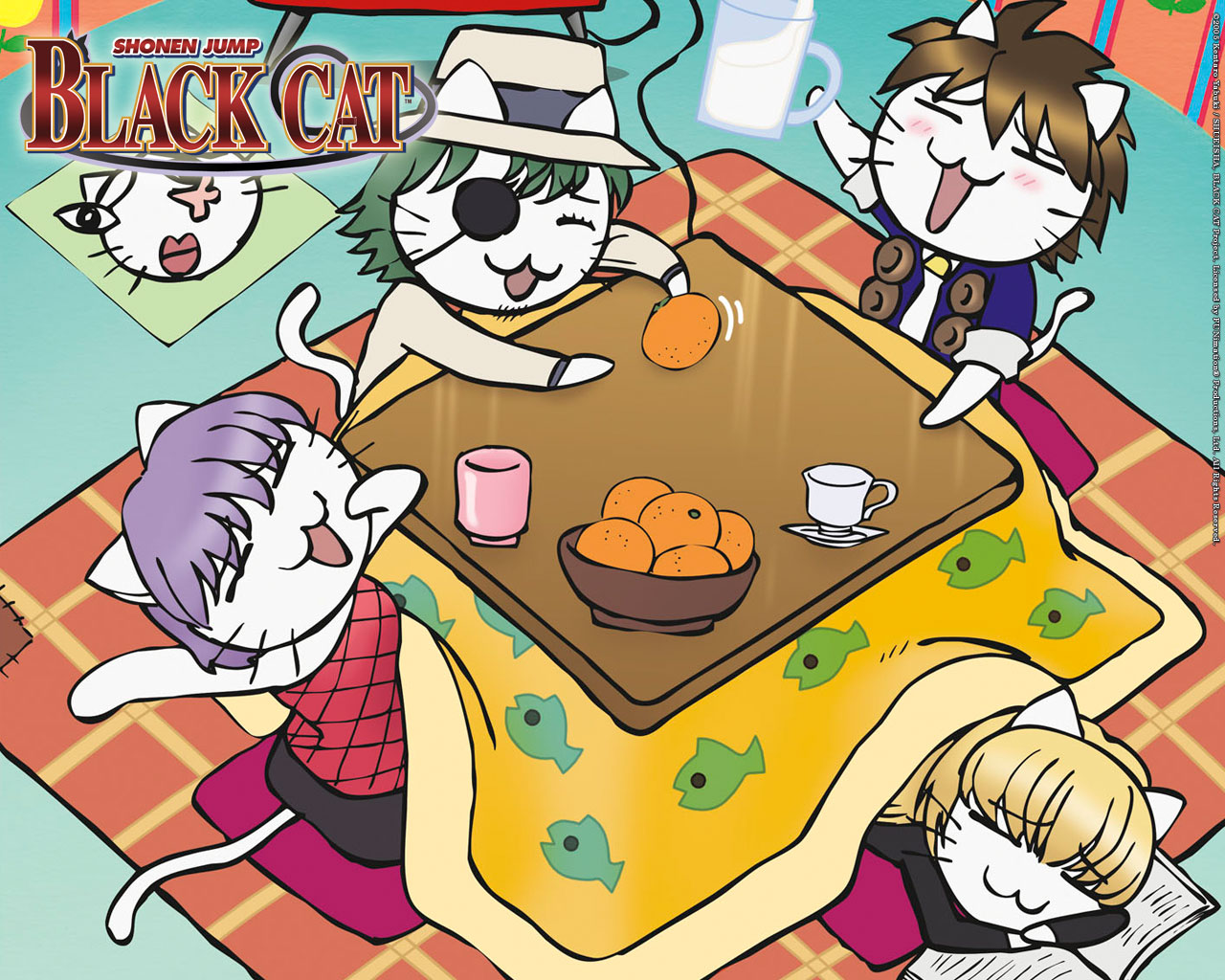 Anime Black Cat Picture Image Abyss