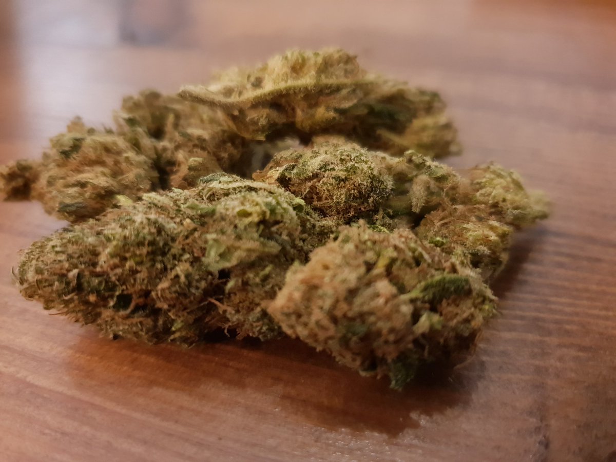 Orange Kush Hemp Flower Strain Qualities and Benefits The PK Times