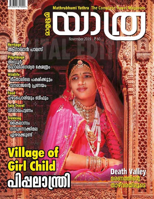 Online Book Rental Library Rent Books Online Pick2Read