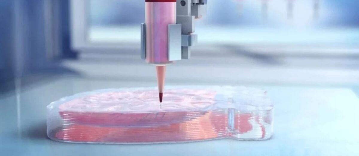 Bioprinting A Guide to 3D Printed Body Parts The Future of Surgery