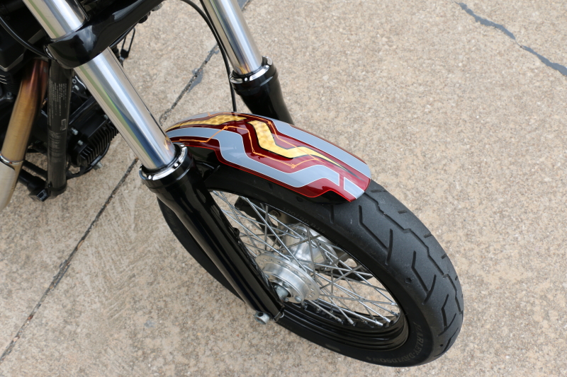 Custom_Dyna_Fenders Pickard USA