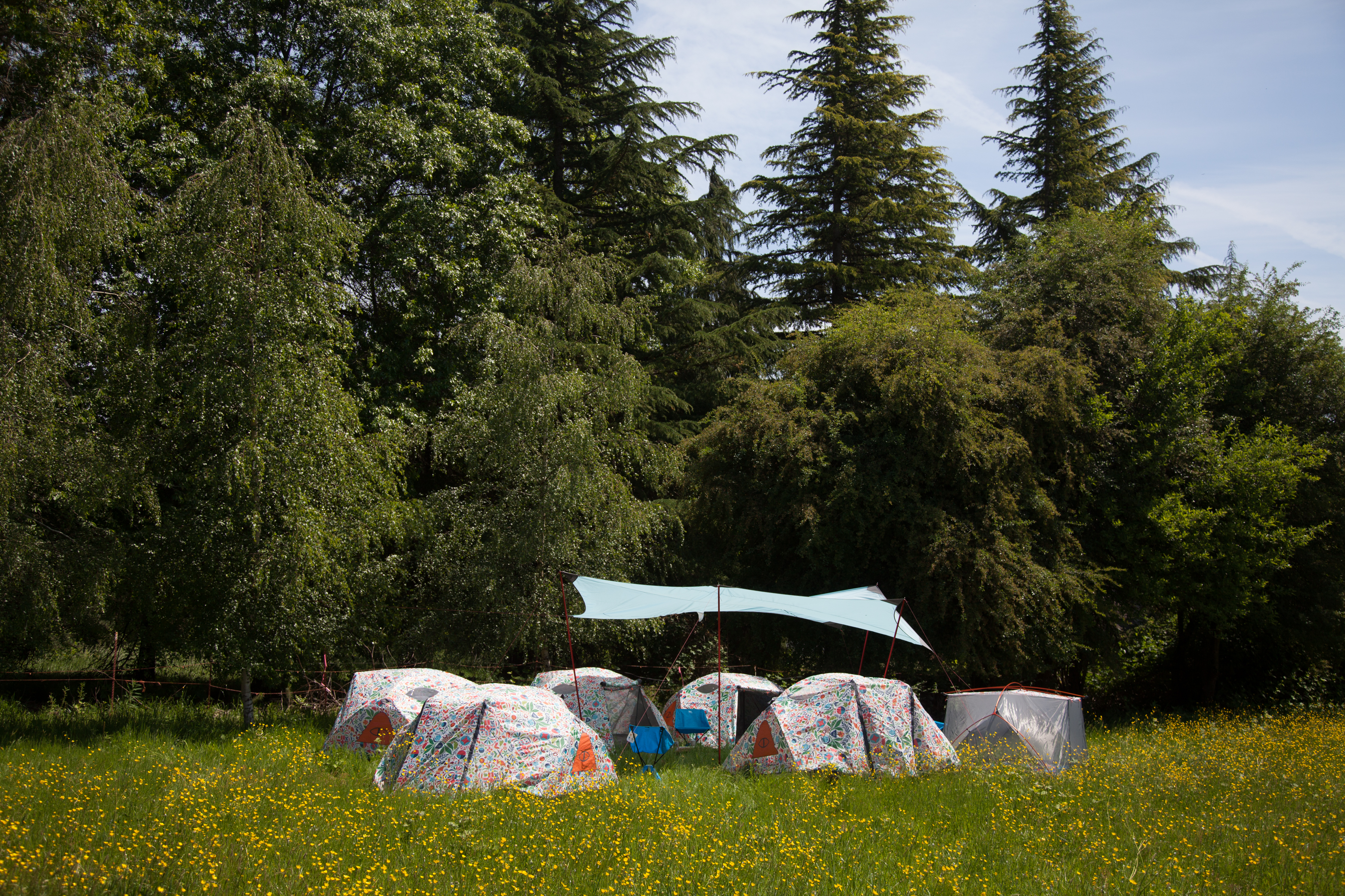 Carefree & Homestead Campsite Packages Pickathon