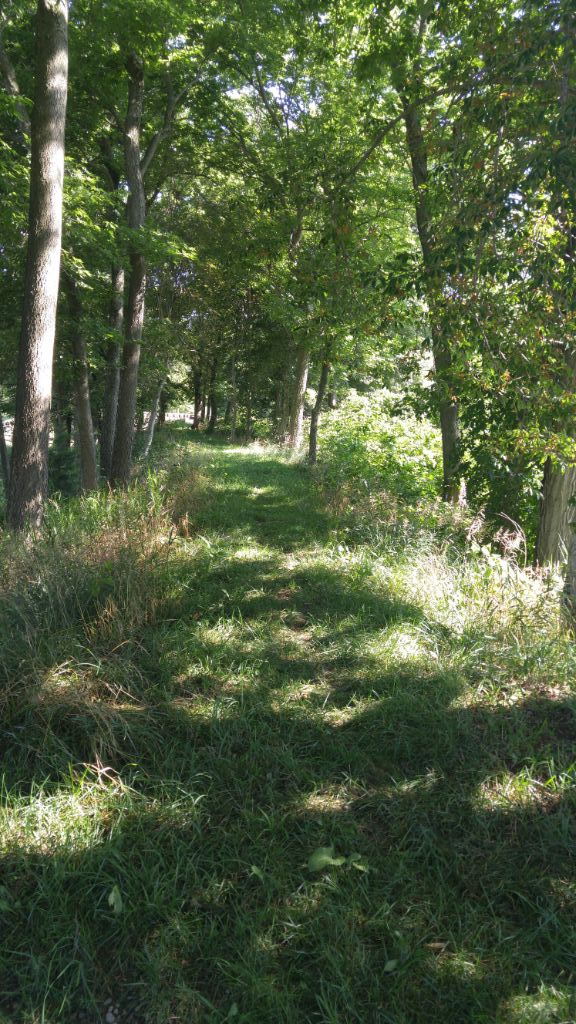 Canal Park Pickaway County Park District