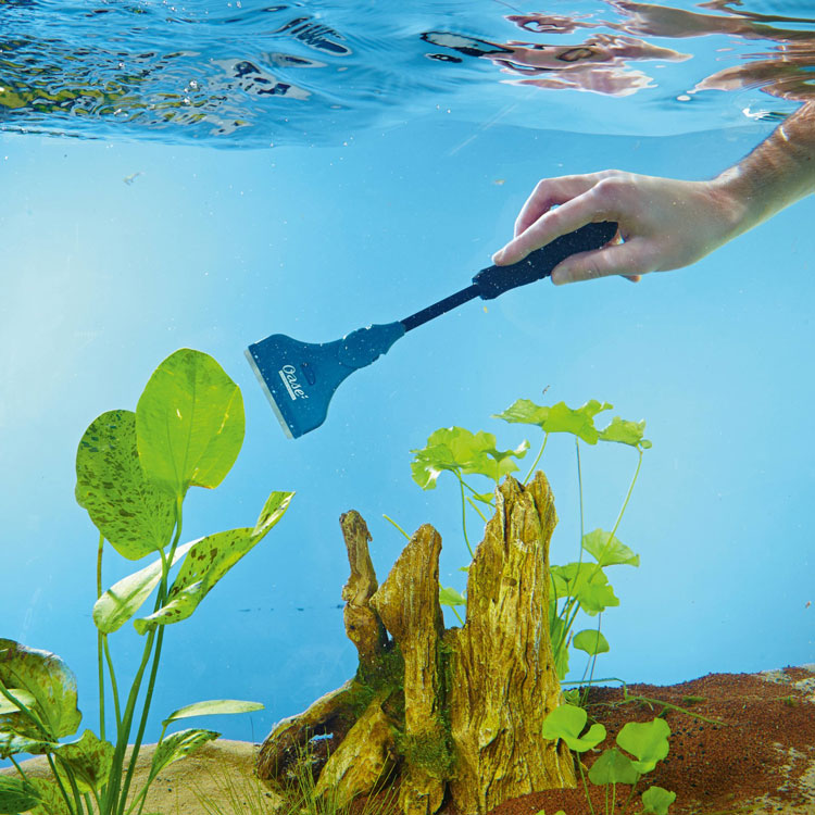 How to Remove Hard Water Stains from a Fish Tank Easy Steps & Tips