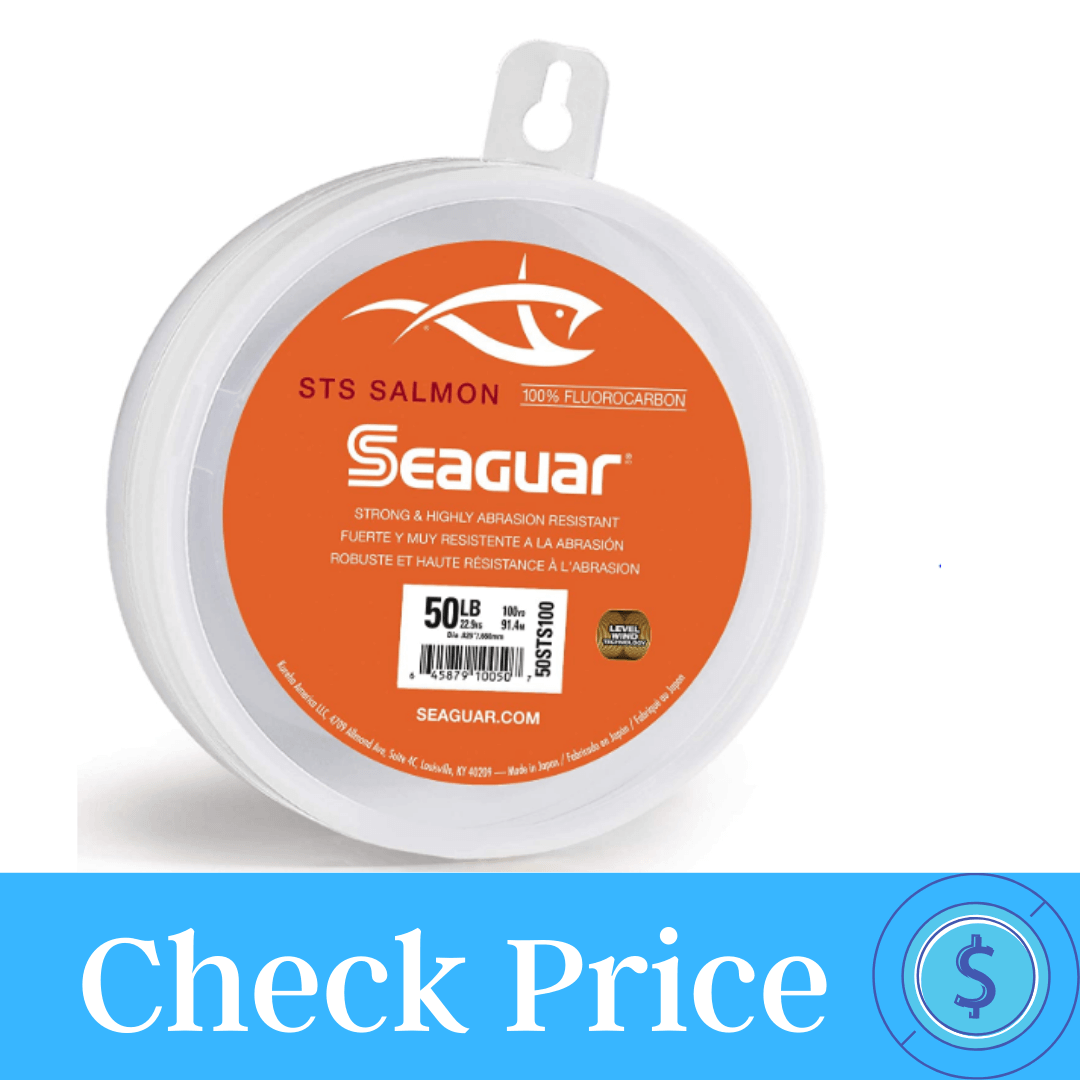 Best Fishing Line for Walleye Pick Fishing Line