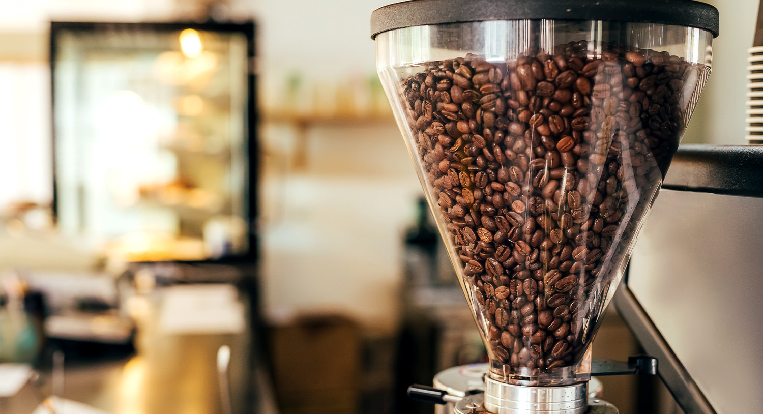 Coffee Grinder Buying Guide What Type and How to Choose a Coffee Grinder