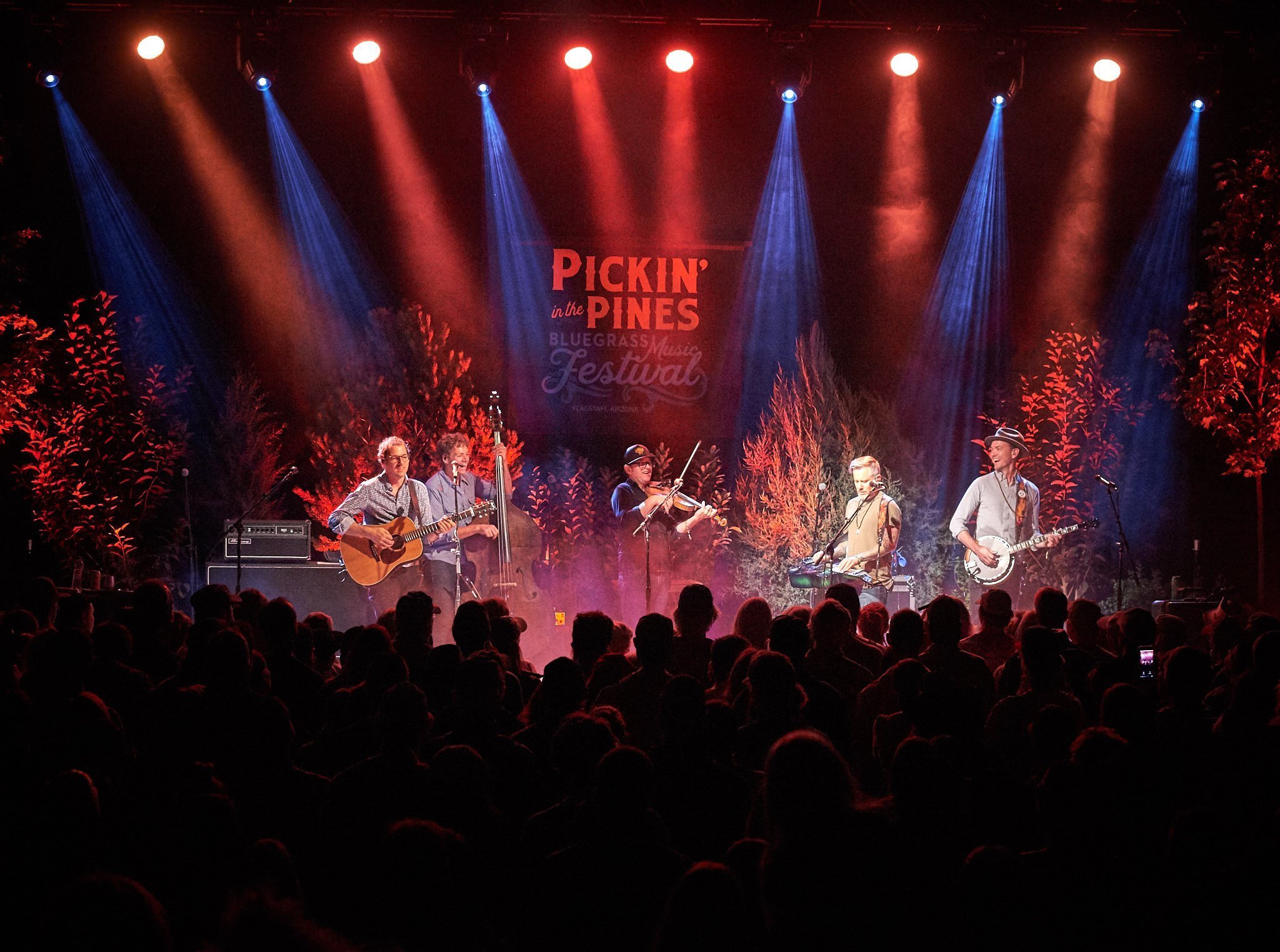 festival in the pines 2023 Tickets Pickin' in the Pines Bluegrass & Acoustic Music Festival