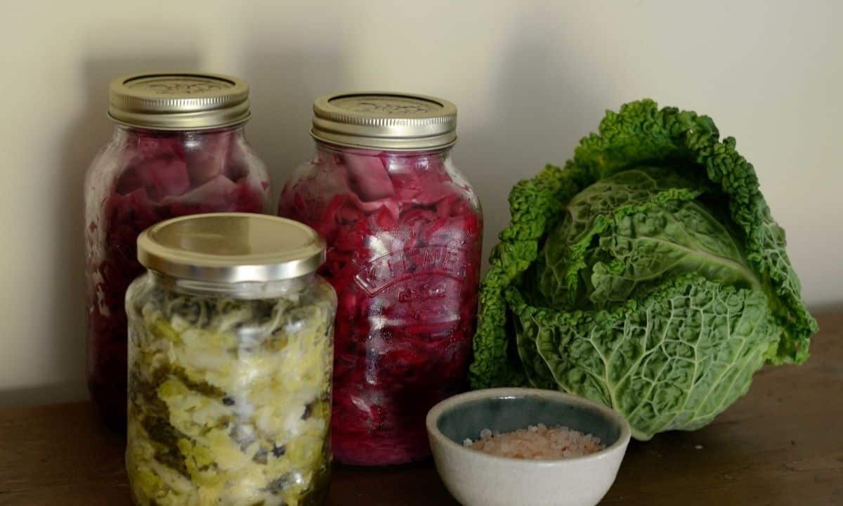 How to Ferment Cabbage for Maximum Probiotics in 10 Easy Steps Pickle