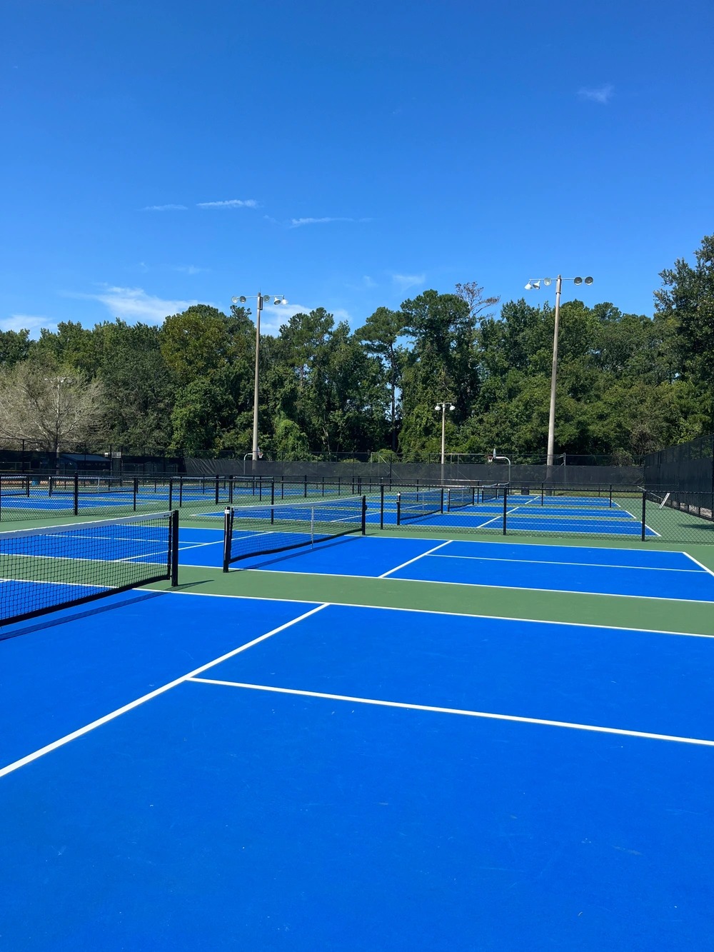 Argyle Forest Park Pickleball Advisor