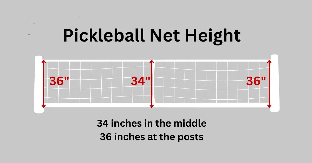 Pickleball Net Height 36 Inches at Posts 34" at The Center