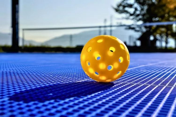Pickleballs History Best Guide