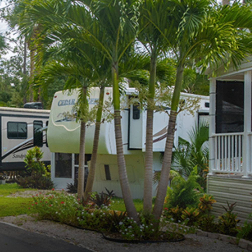 Naples RV Resort Pickleball Insider