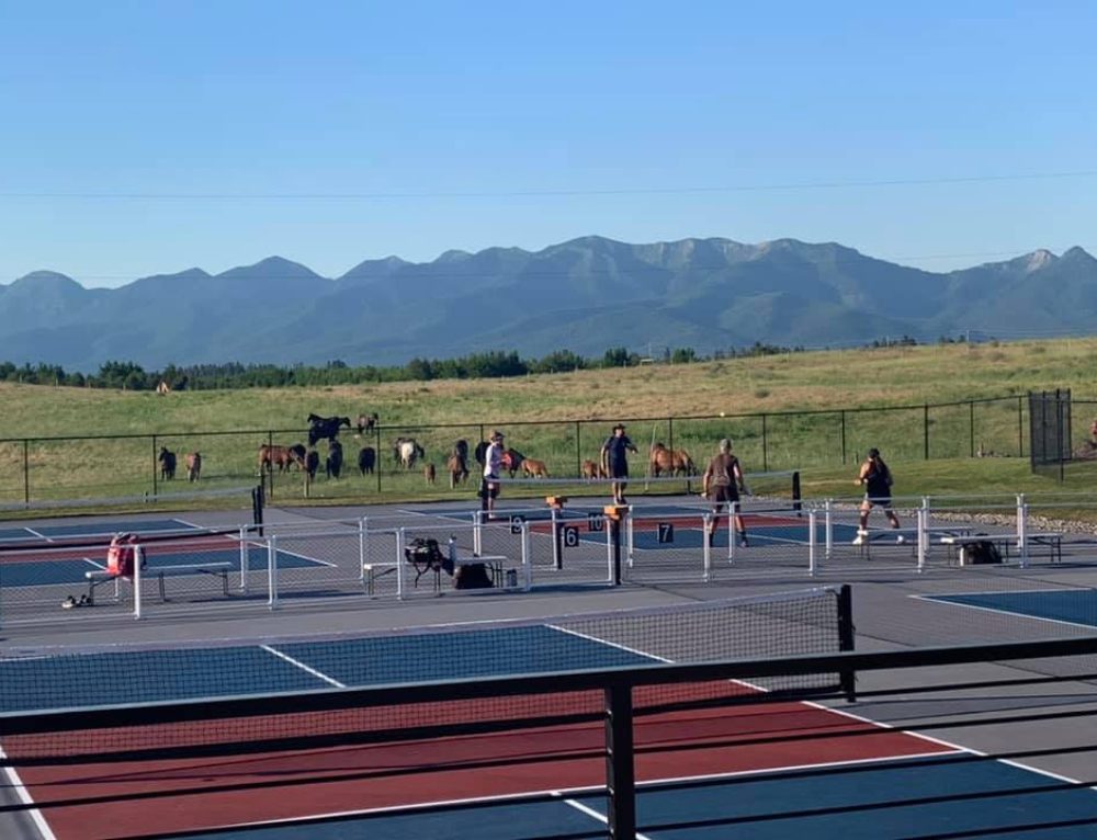 Tom Sawyer State Park Louisville, KY (16 Courts) Pickleball Link