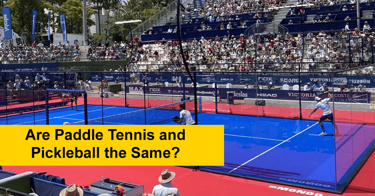 Are Paddle Tennis and Pickleball the Same? Exact Answer!