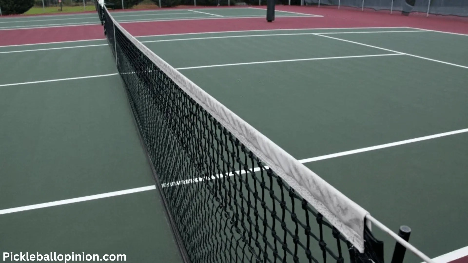 What Are New Changes in Pickleball Net Height 2023? A Detailed