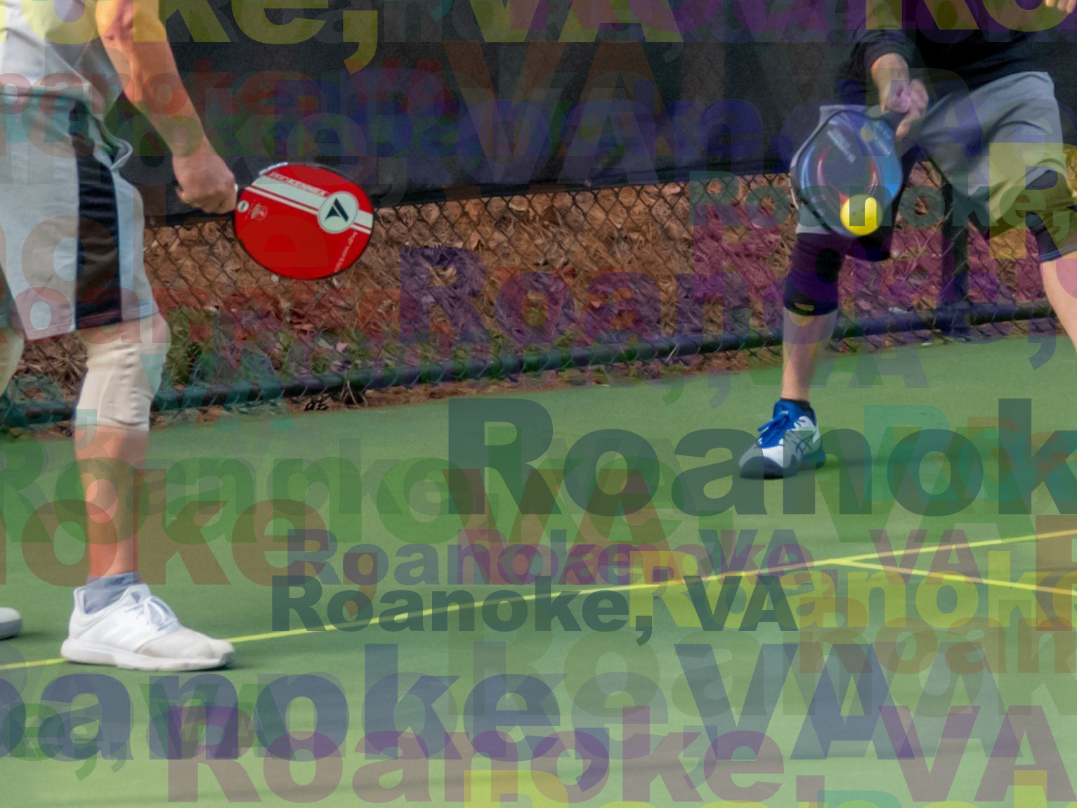 Pickleball in Roanoke Virginia