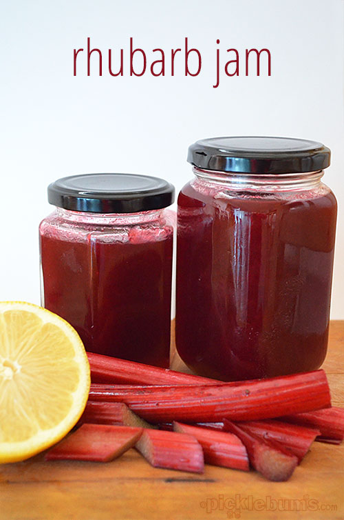 Easy Rhubarb Jam Recipe Picklebums