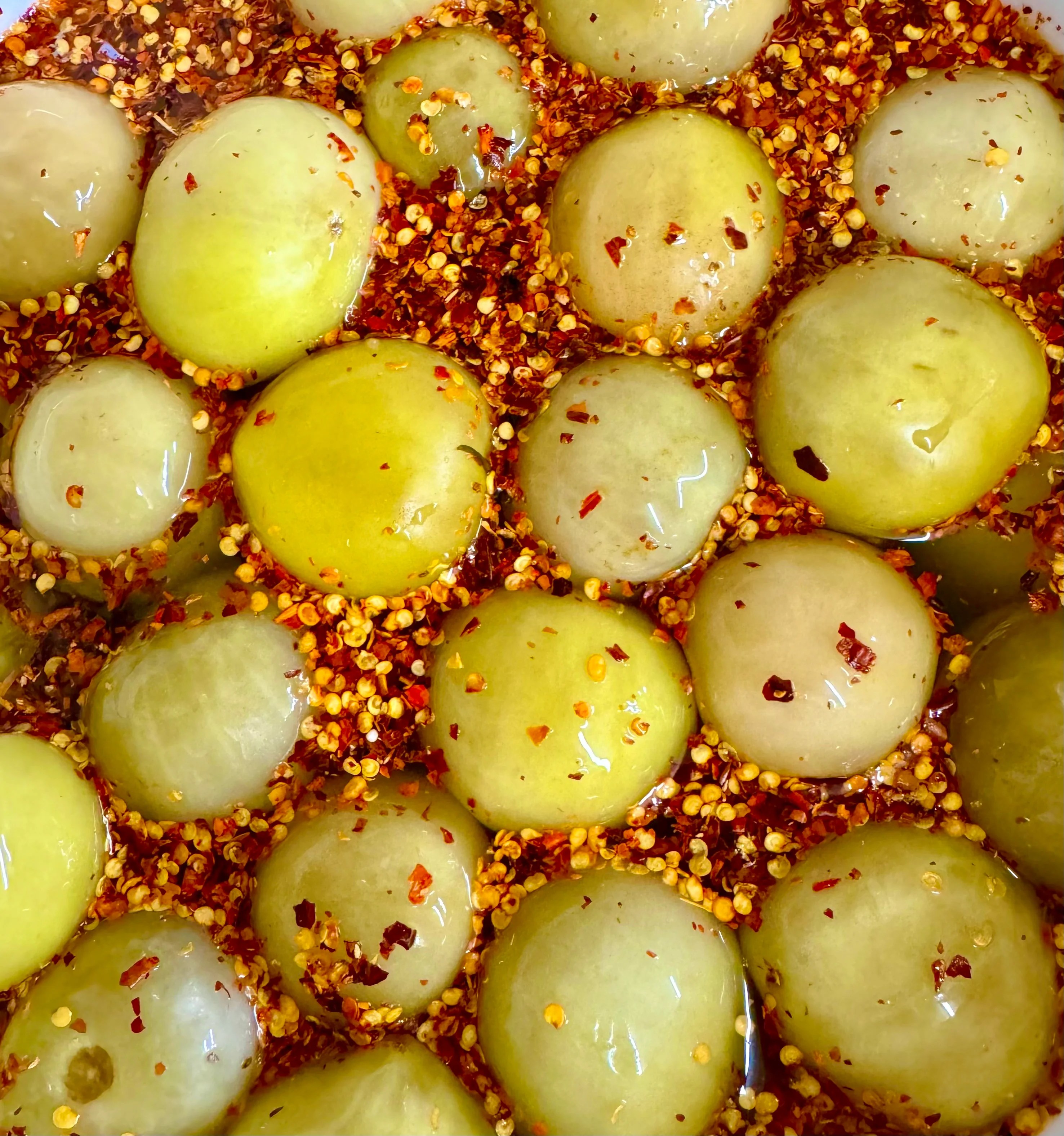 Shop Pickle Licious Page 12