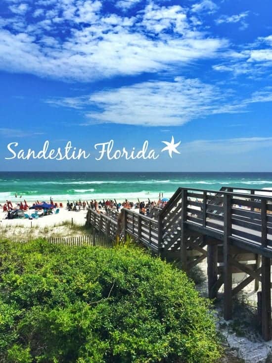 Sandestin Florida Vacation Picky Palate