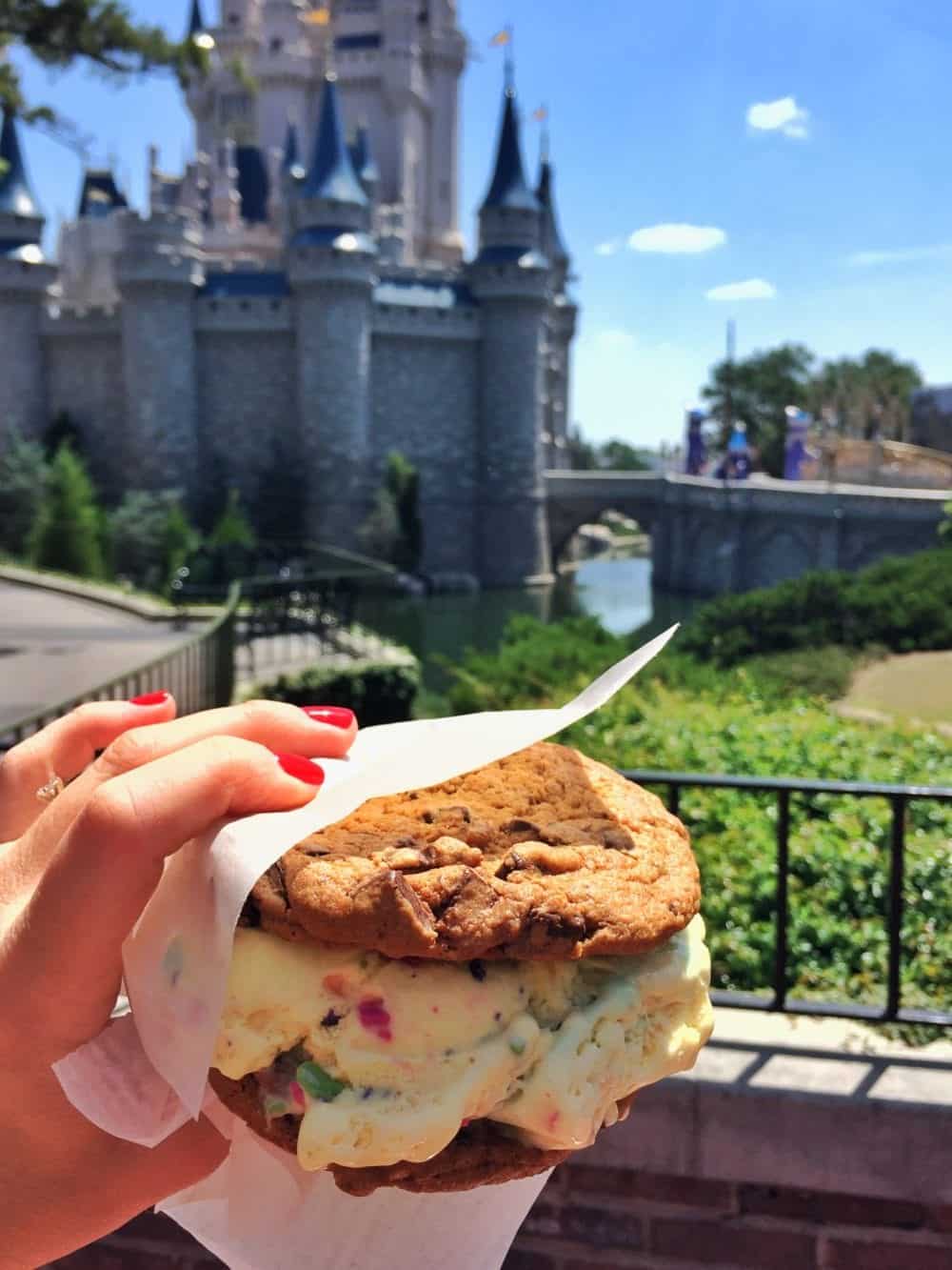 The Best Food at Walt Disney World Resort Where to Eat at Disney World