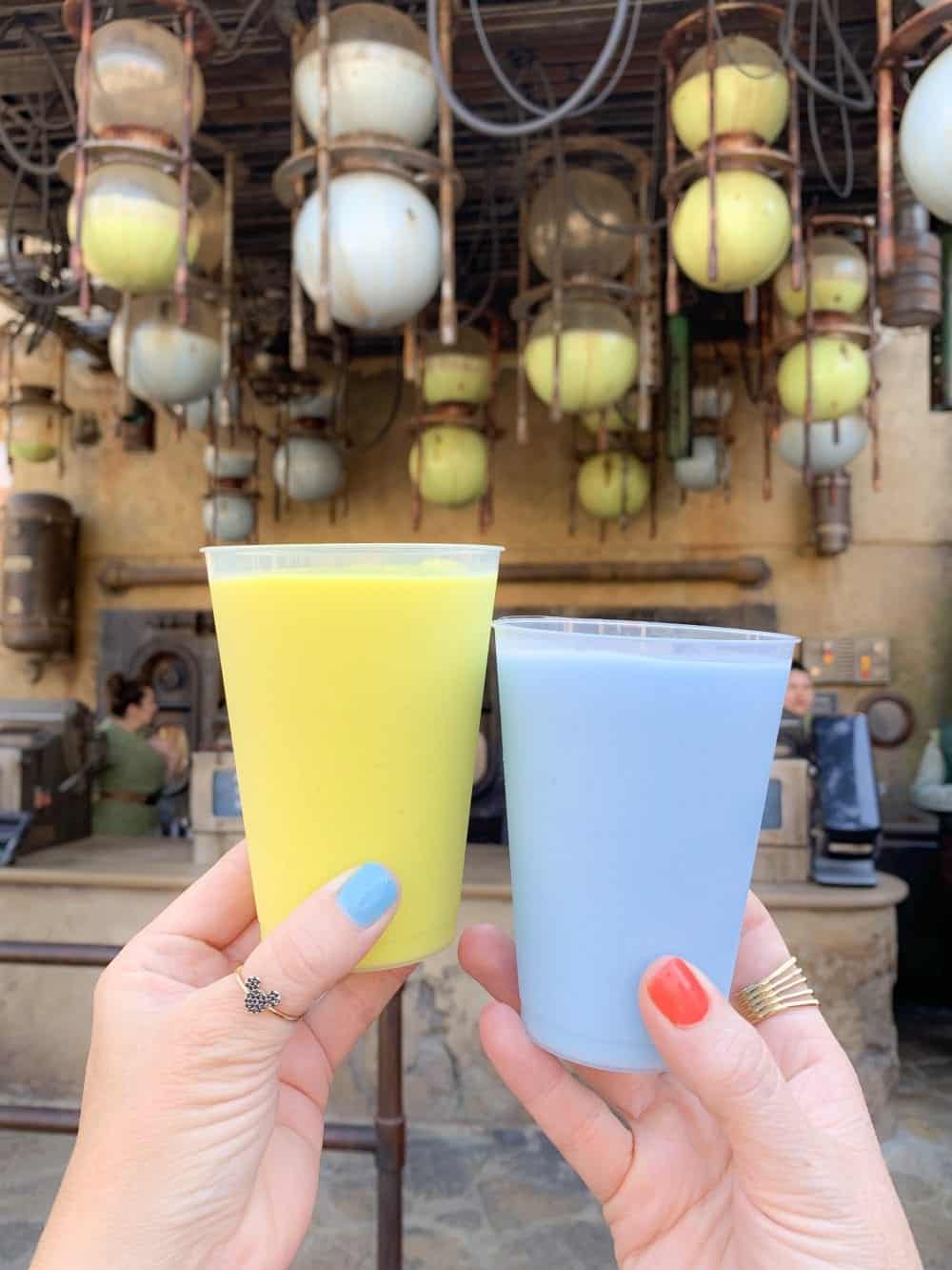 Hidden Treasures the MustTry Food in Walt Disney World! The Disney Den