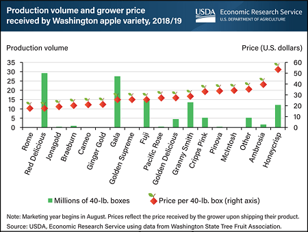 Apple Price in 2025: Typical Pick Your Own and Already Harvested Apple
