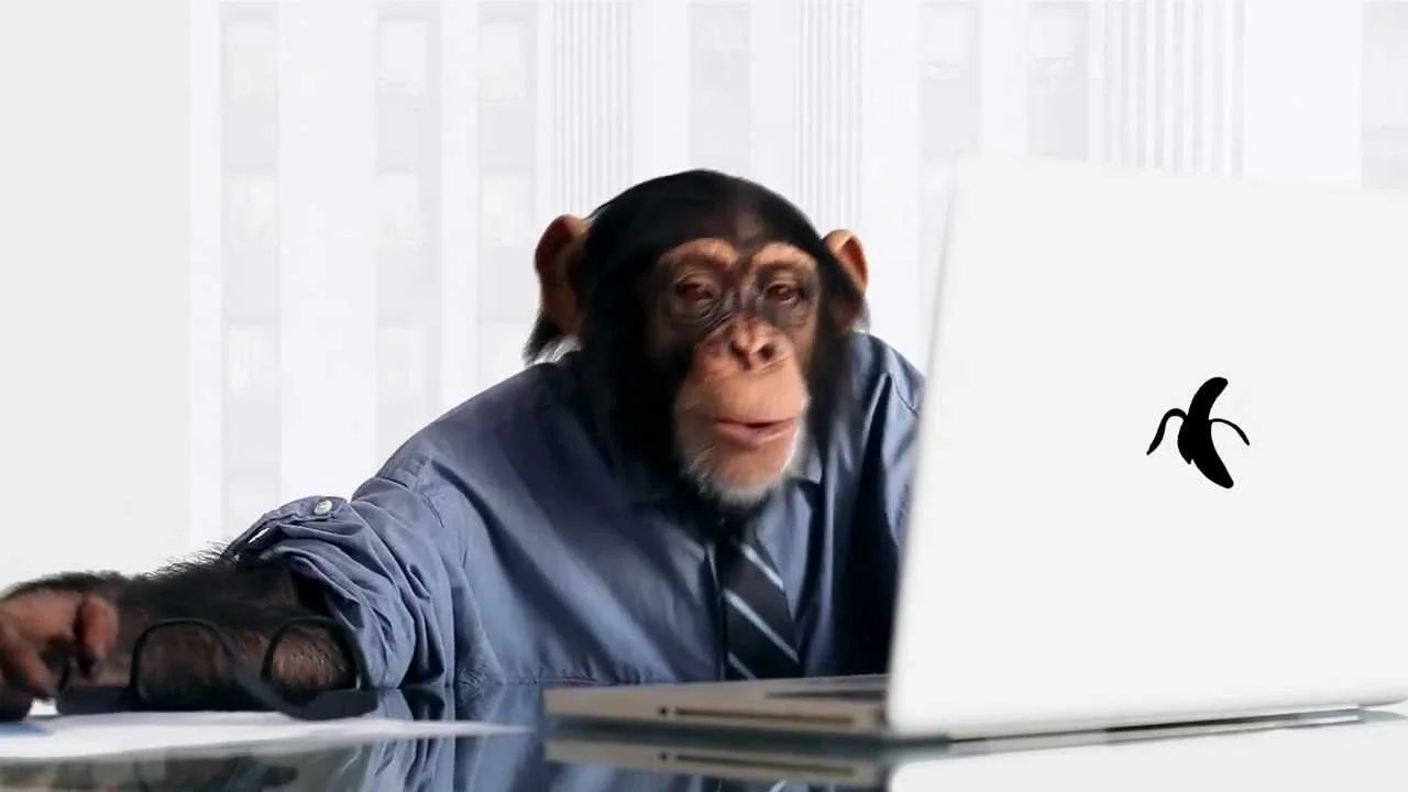 monkey work Picnic English