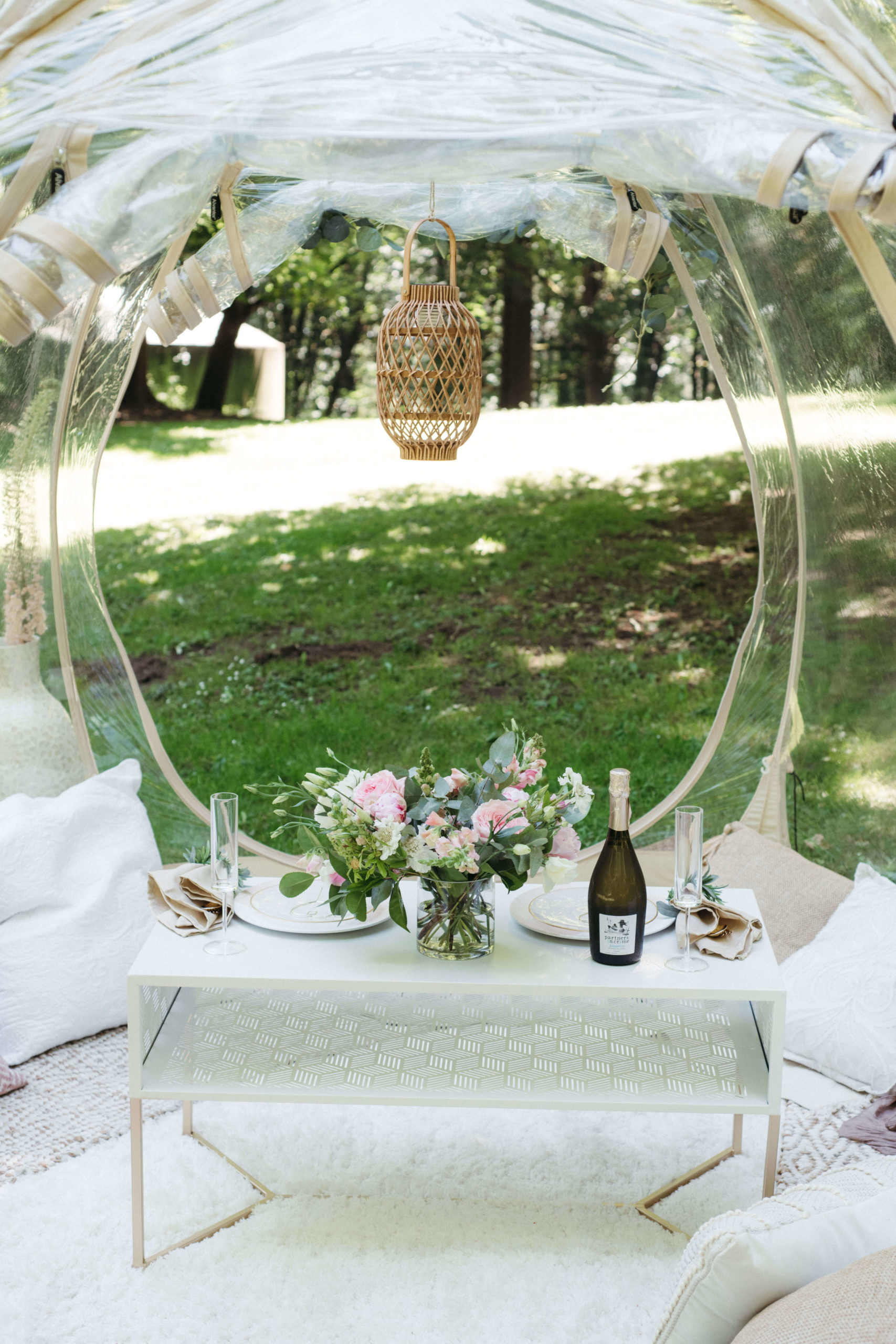 Luxury Picnic for Valentines Day in Portland Picnics with Elegance