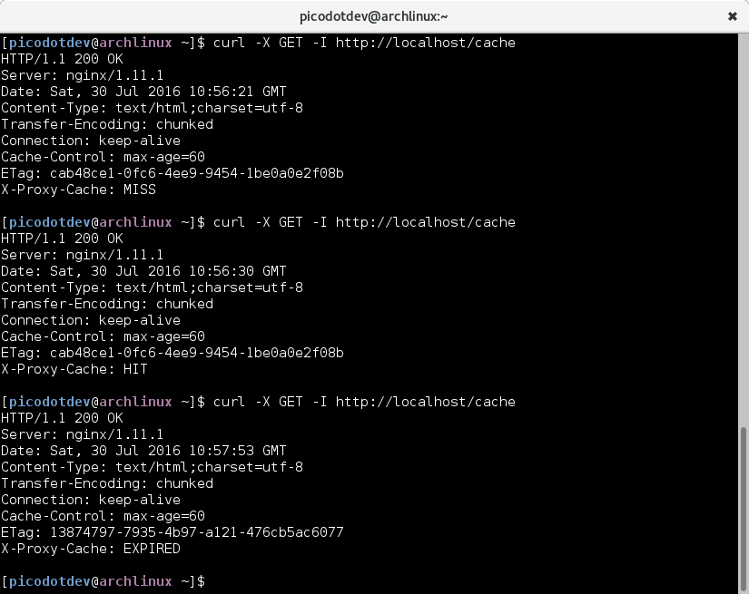 Configurar Nginx para cachear respuestas del servidor de aplicaciones