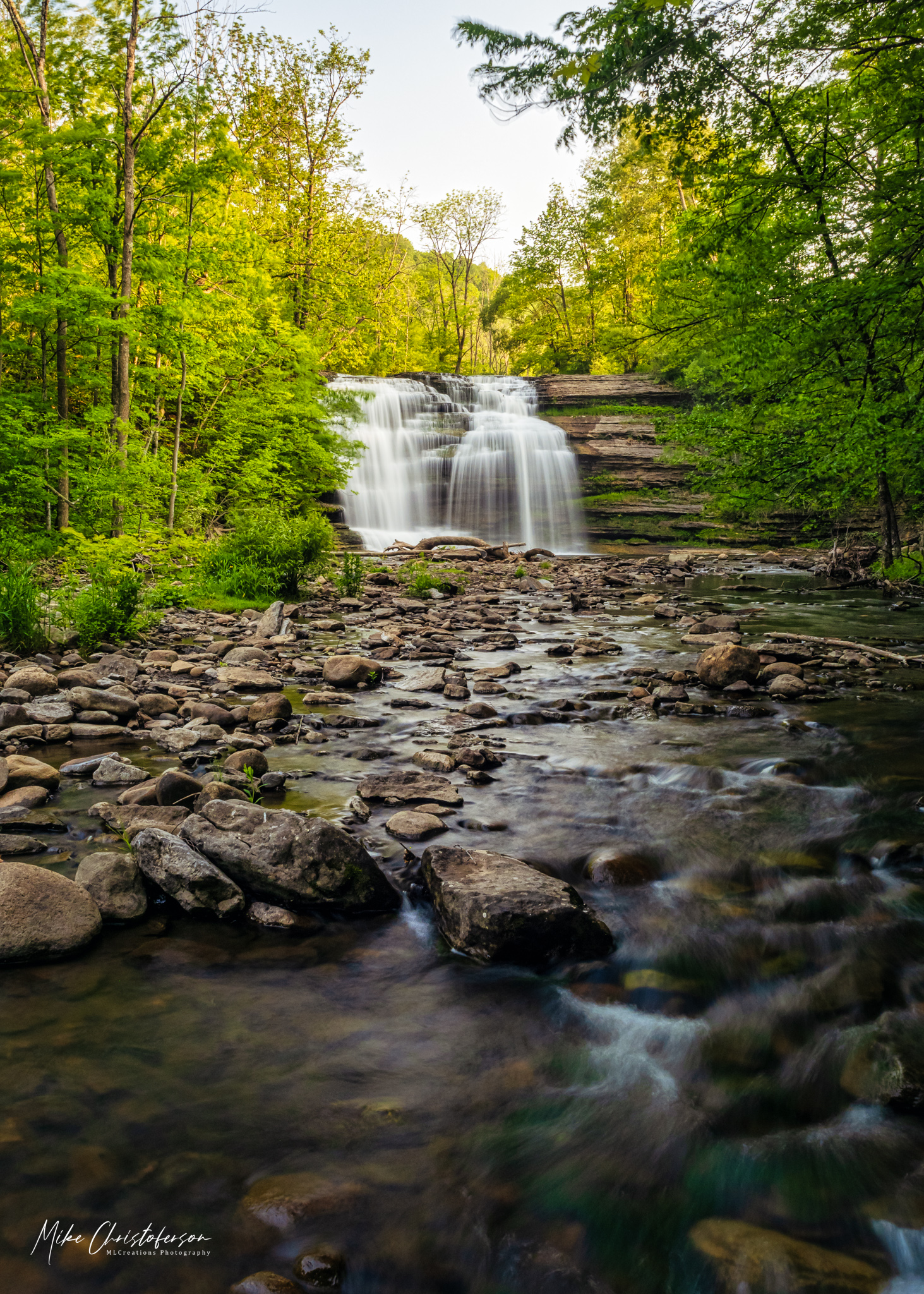 Pixley in the Morning MLCreations Photography