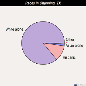 Channing Texas Tx 79018 Profile Population Maps Real Estate