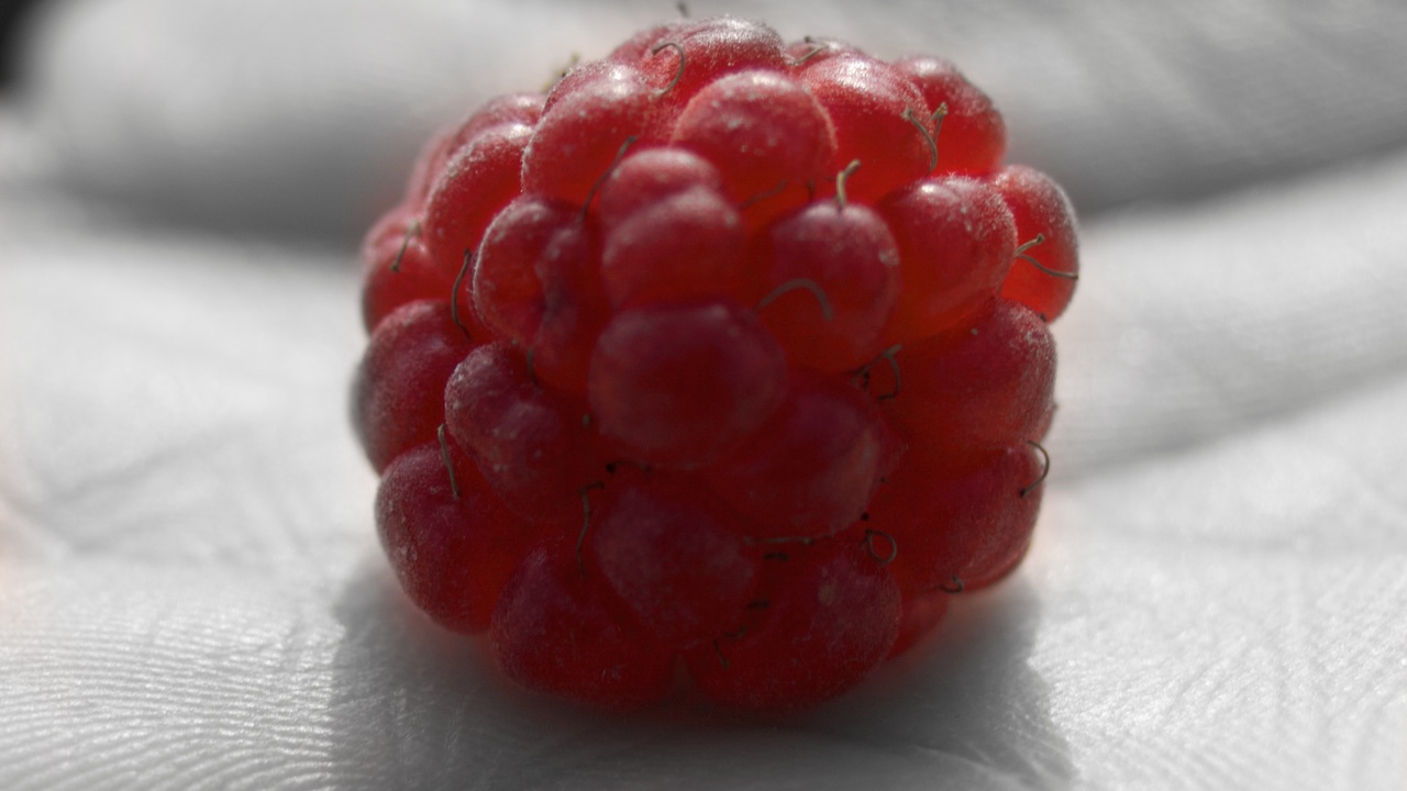 Raspberry Pi Raspbian erhält ein neues Gesicht ComputerBase
