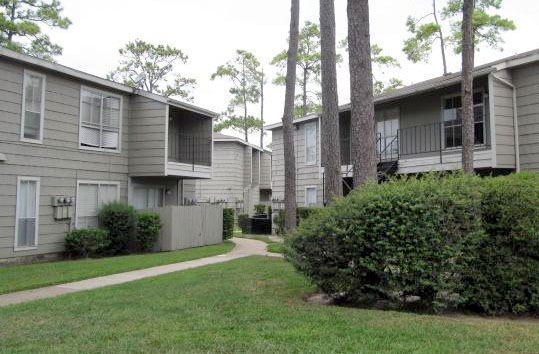 Los Pinos Verde, Houston, TX