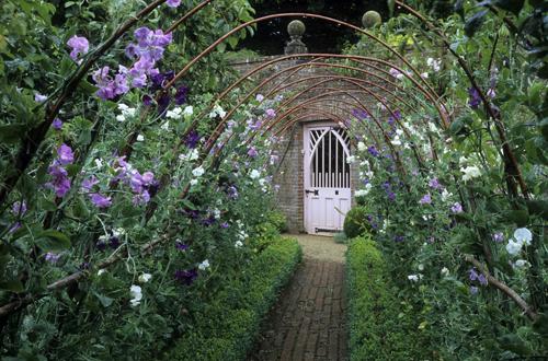 NEW FLOWERS BRITAIN IN BLOOM jaga_lux — LiveJournal