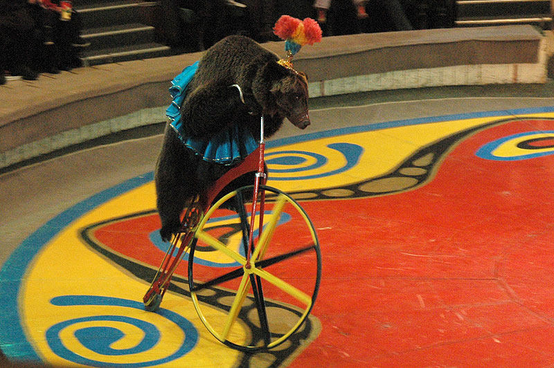 "Ехали медведи на велосипеде.." svinchukov — LiveJournal