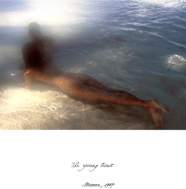 art 4 logic A PLACE IN THE SUN. Photo by David Hamilton