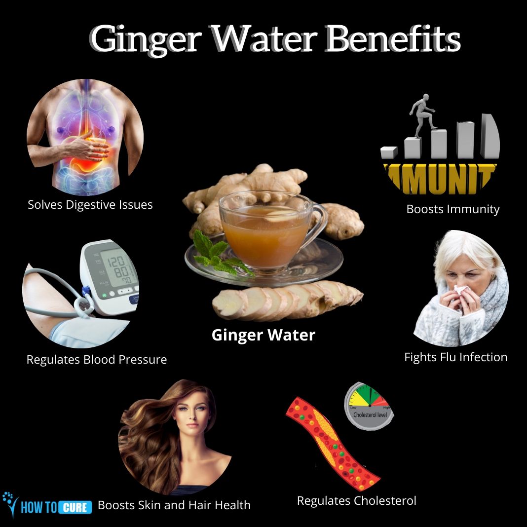 How Many Times a Day Should You Drink Ginger Water